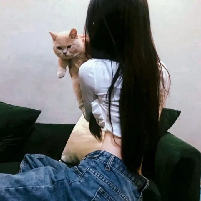 杀手老婆的保镖